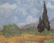 Vincent Van Gogh Wheat Field with Cypresses (nn04) Sweden oil painting reproduction